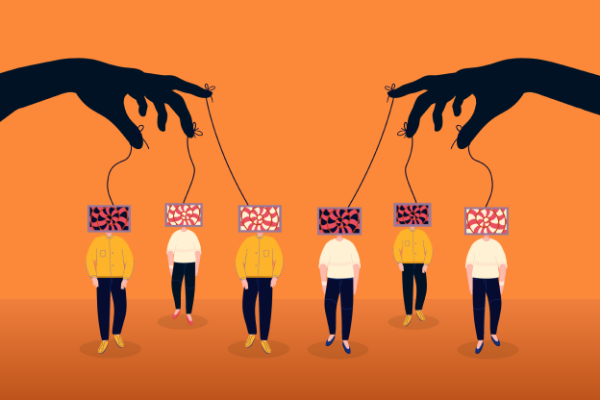 Digital disinformation