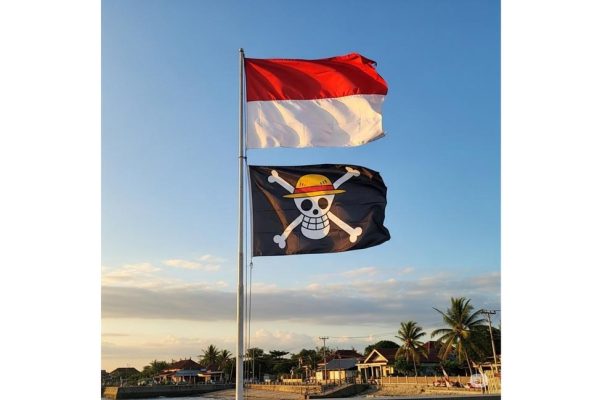One Piece Flag Indonesia: Symbol of Protest or Unity?