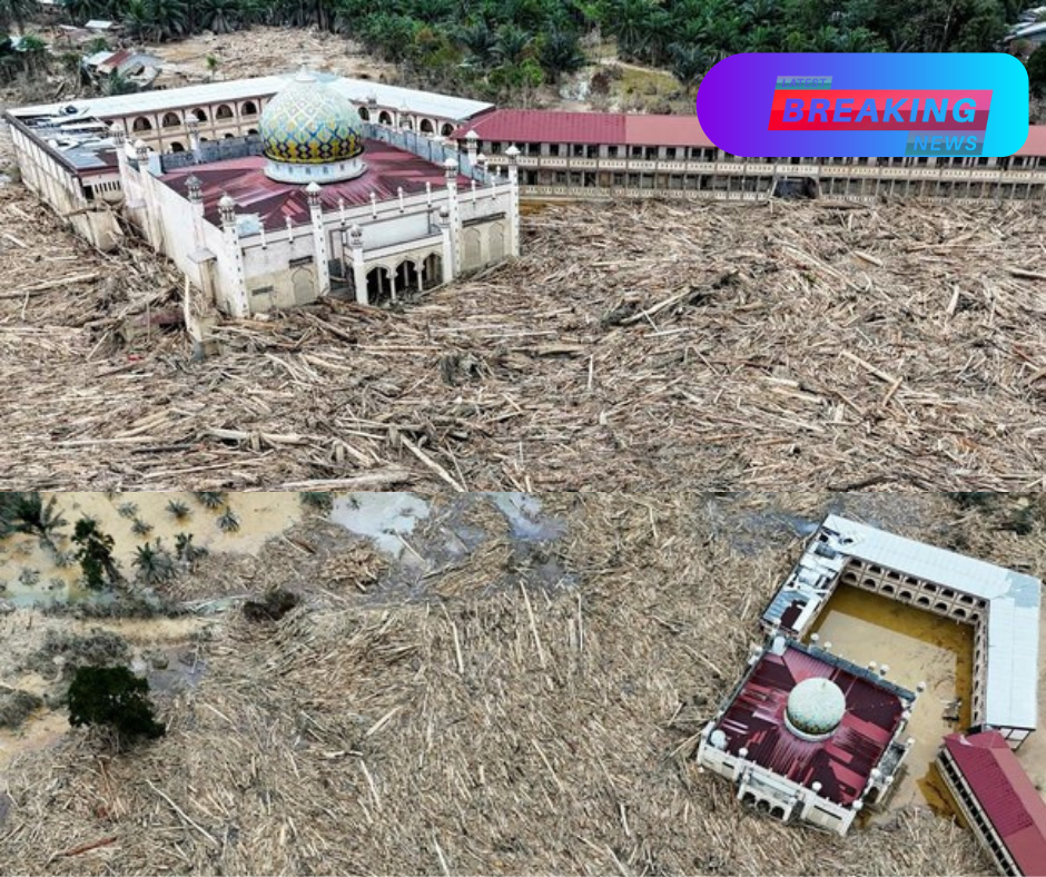 Kisah Perjuangan Korban Banjir-Longsor Sumatera Bertahan Hidup
