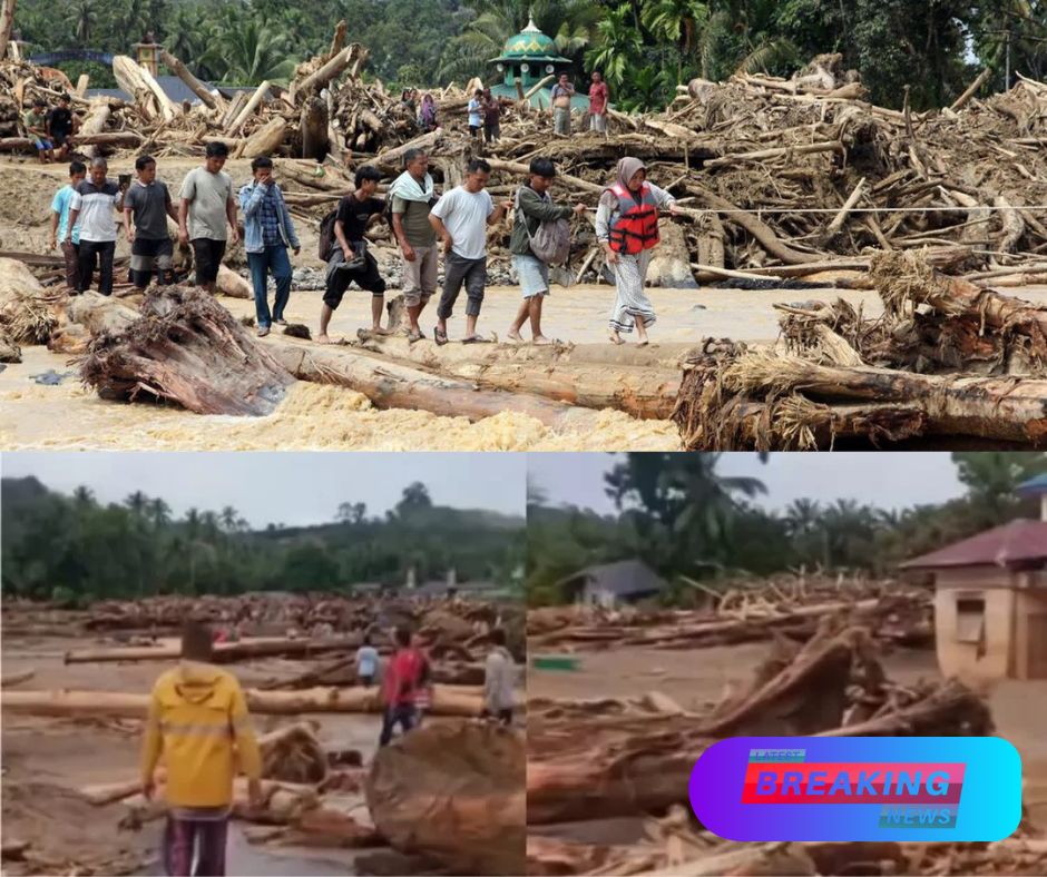 Amidst Floods and Landslides in Asia, the European Union Relaxes Anti-Deforestation Laws