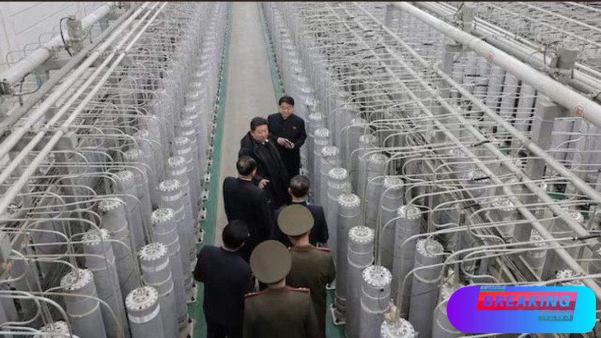North Korea Produces Materials for 10-20 Nuclear Weapons a Year